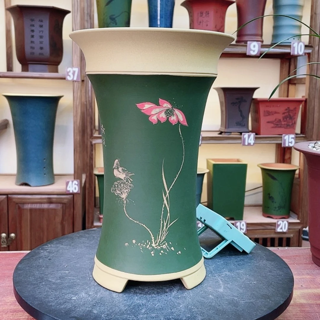 【闪购商品】紫砂花盆兰花556998555698856