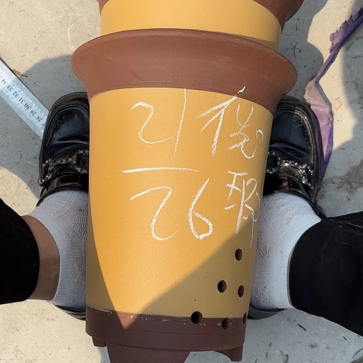 紫泥花盆紫砂花盆