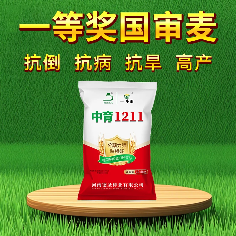 中育1211高产小麦种子10.5kg抗寒抗冻分蘖强穗子大产量高矮杆扛倒