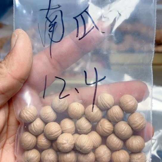 ?**?福希猴头南瓜12十同边