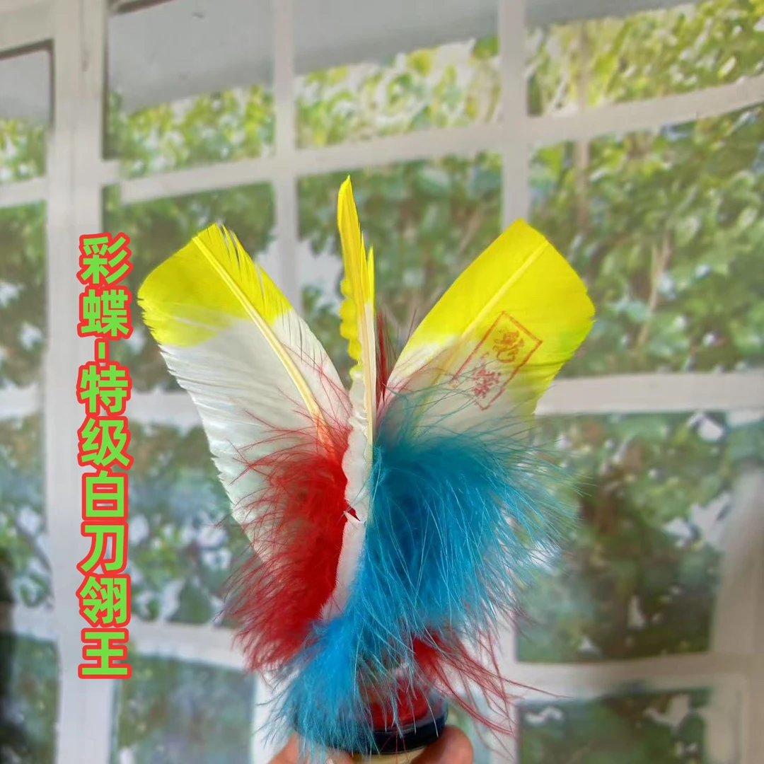 杨春-彩蝶-特级白刀翎王