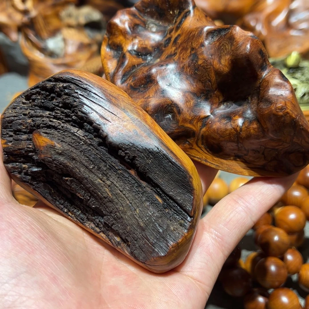 柏木（崖柏）碳*哥北太行陈化崖柏两个