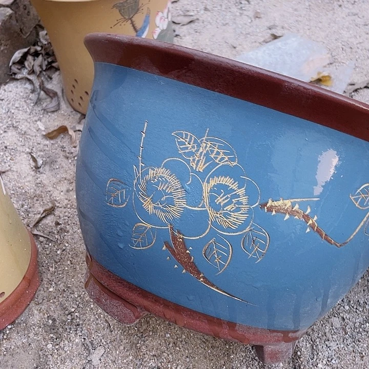 紫砂t000花片花哦花哦