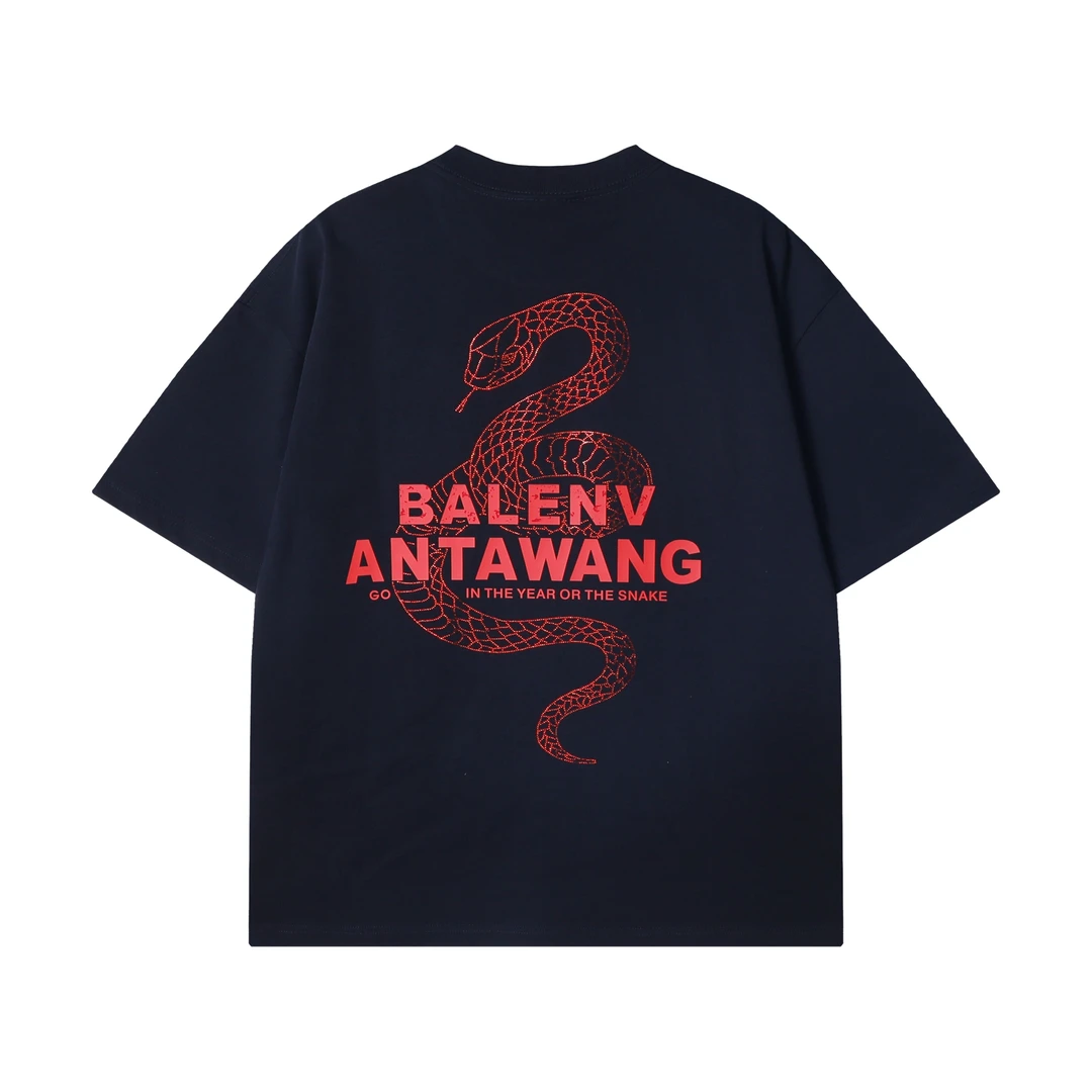 夏季高级感新款潮牌撞色字母印花蛇圆领短袖T恤休闲情侣宽松上衣