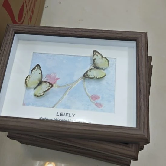 木框双碟浮雕背景福利款