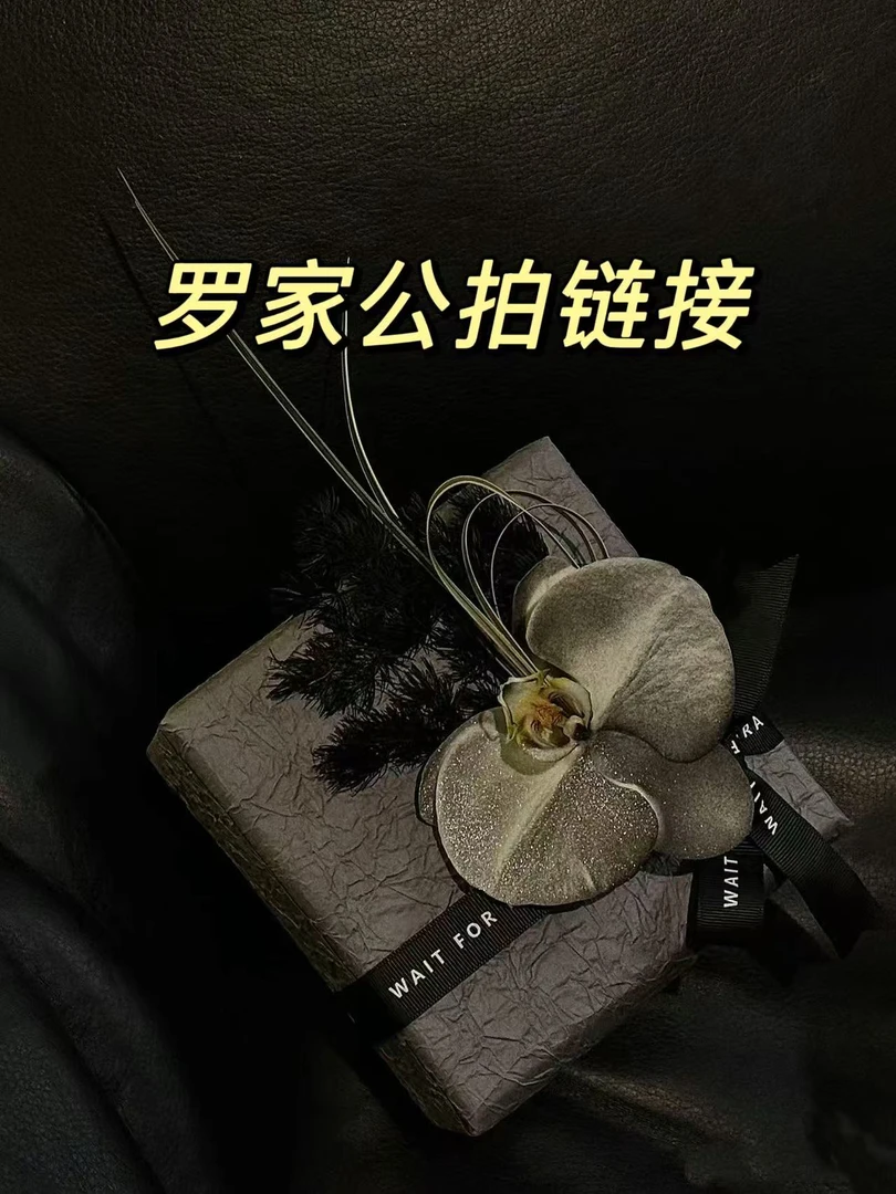 网红同款女士时尚百搭腰带