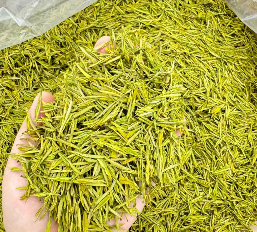 2025新茶【春茶ZT322直条黄金芽】高山茶浓香型豆香板栗香高级茶叶
