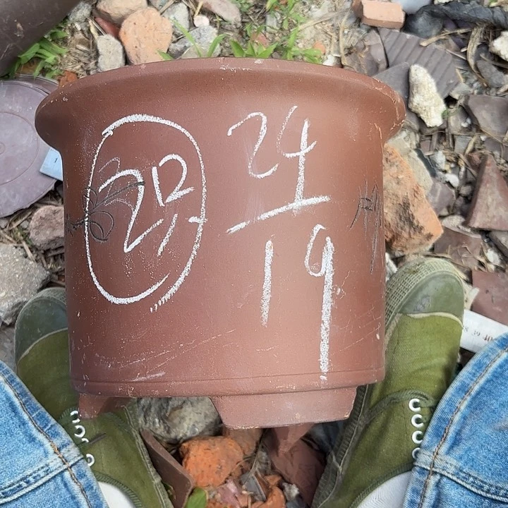 紫砂花瓶紫砂的味道