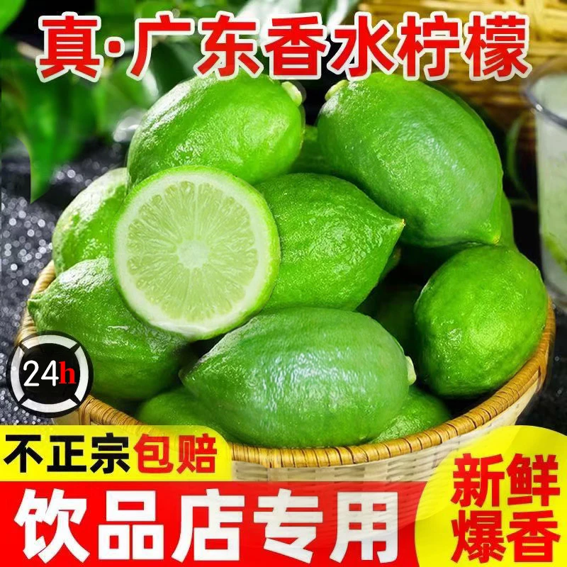 广东香水柠檬一级果无籽四季青柠檬茶饮摊奶茶店专用原产地水果