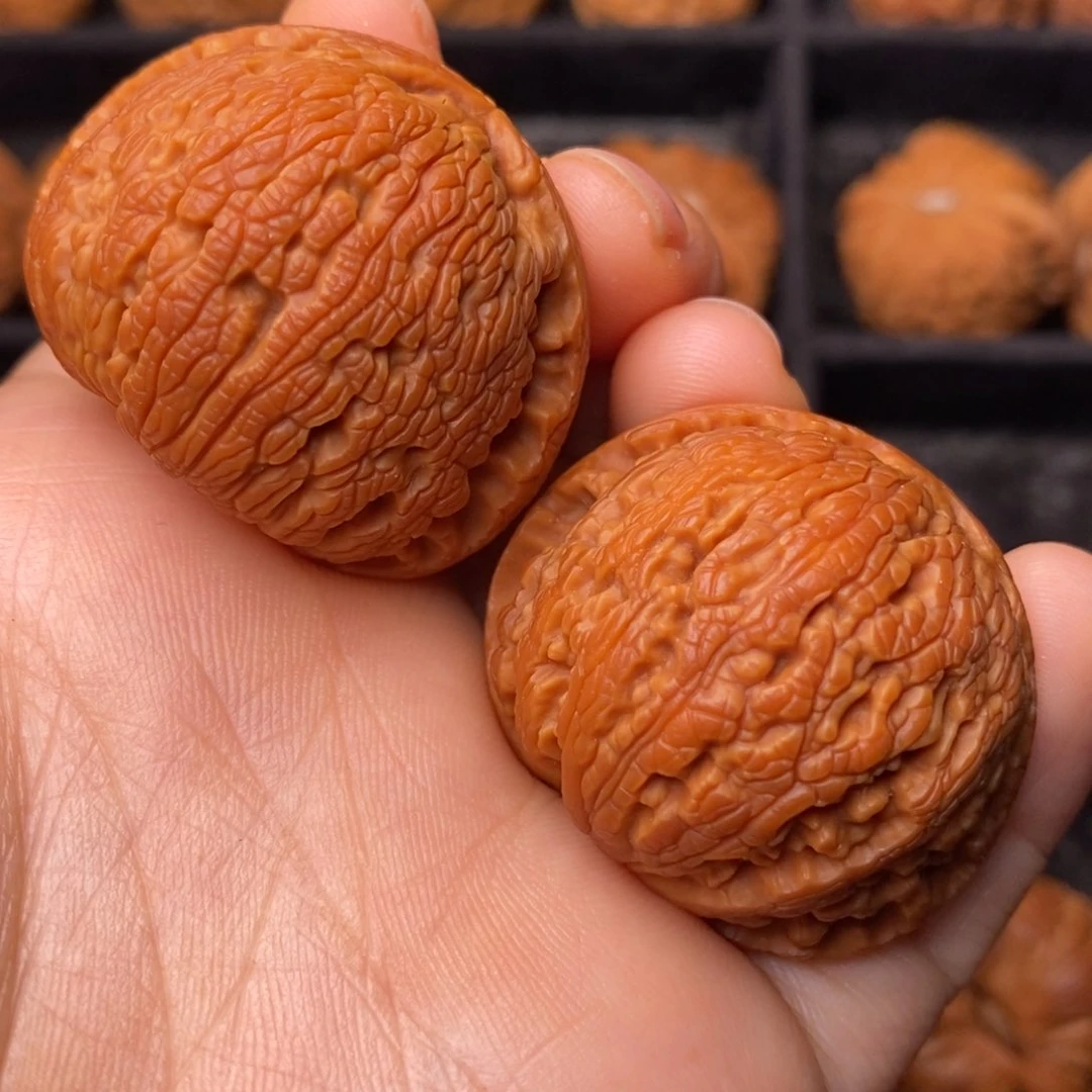 文玩核桃把件秦岭野生核桃