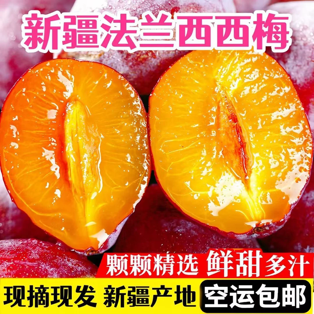 【顺丰空运】新疆伽师西梅新鲜水果法兰西小西梅孕妇当季现摘包邮