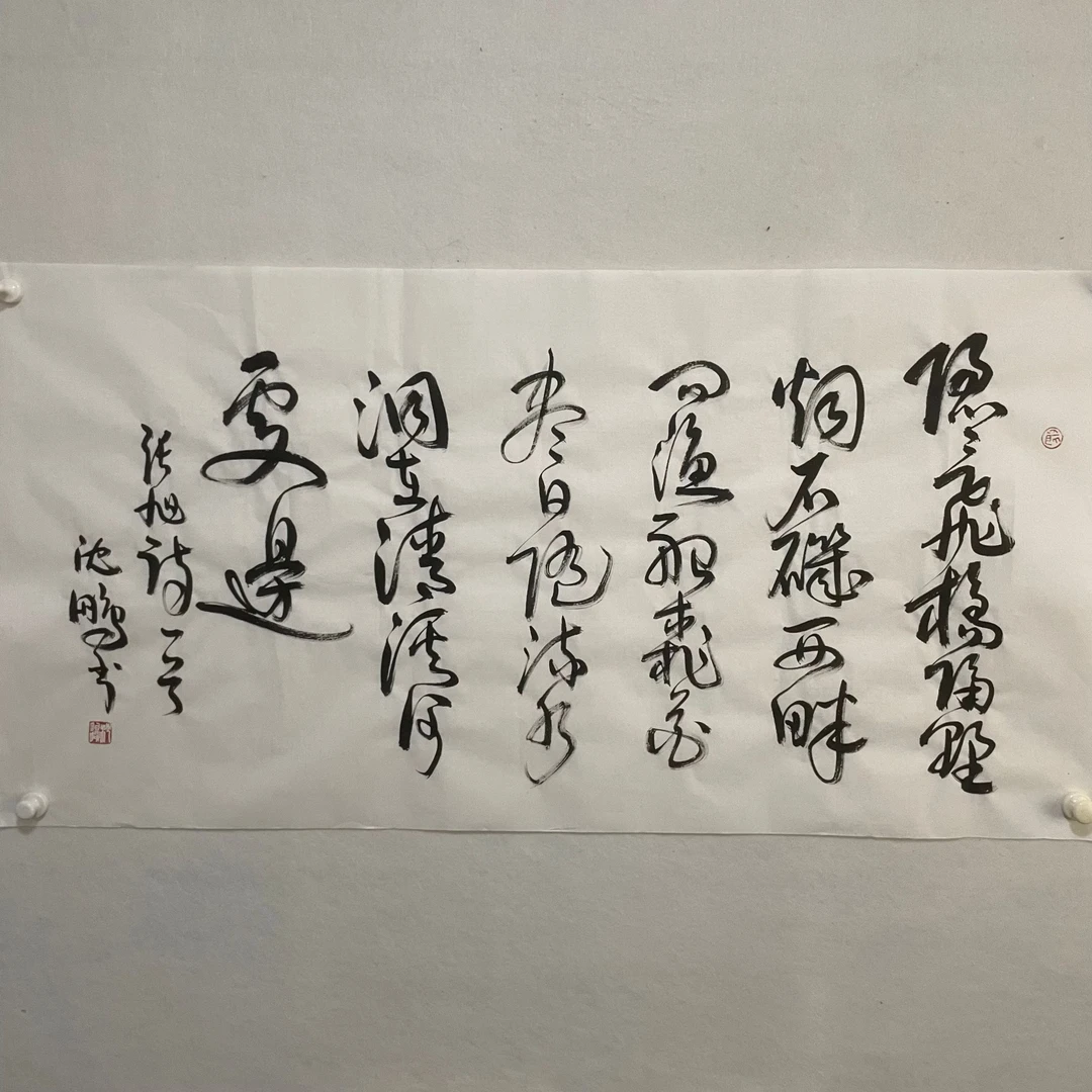 5192 沈鹏 书法 纸本水墨 136×68