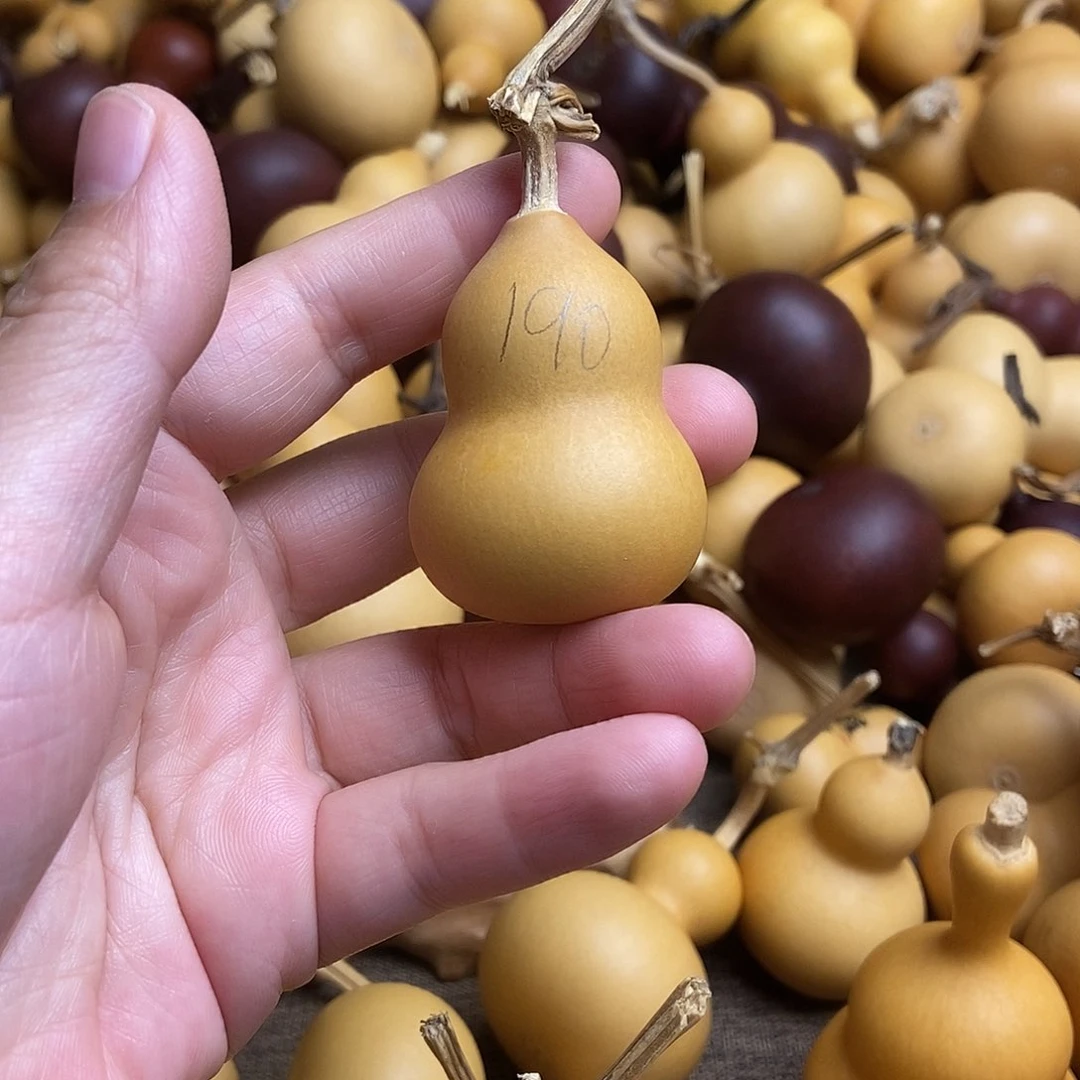 文玩葫芦 非完美主义者 慎拍190