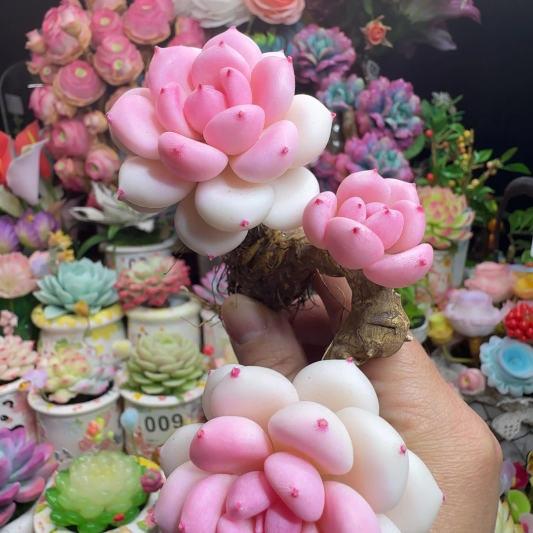 手工制作白茶不带盆