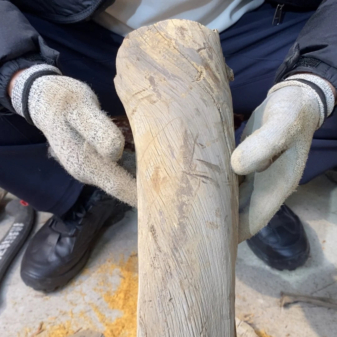 柏木(崖柏)虎皮纹料