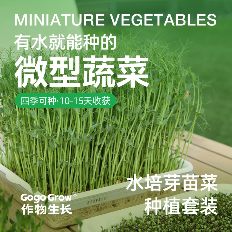 作物生长芽苗菜盘种植套装可食用豌豆苗家用水培微型蔬菜健康好种