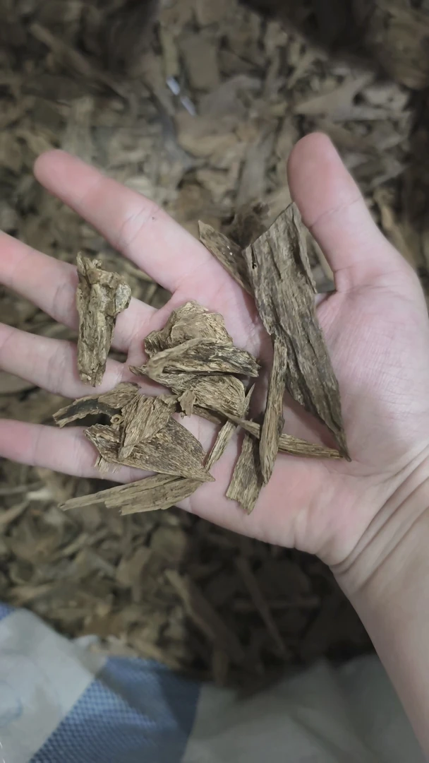 达拉干熏香料10g装带瓶