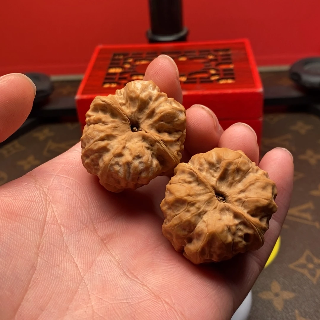 不想在这个城市了吗怎么