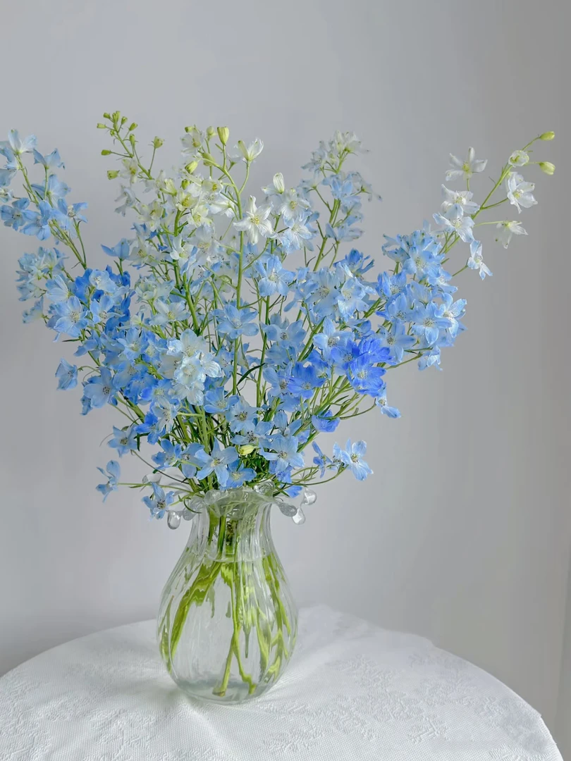 小飞燕基地直发水培家庭鲜花