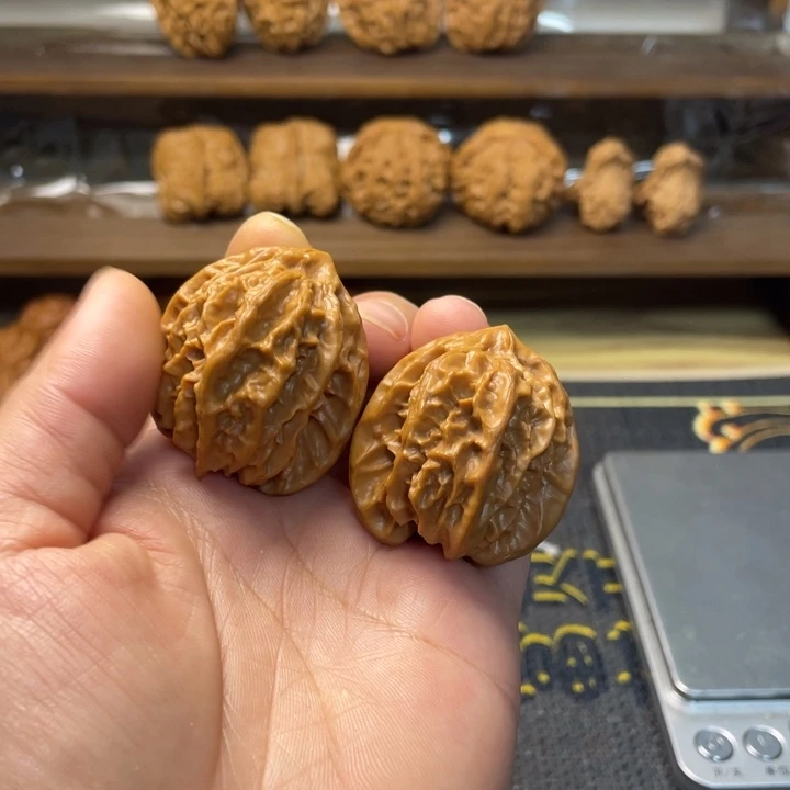 核桃曹大龙修36.38.38.关注➕灯牌不退不换