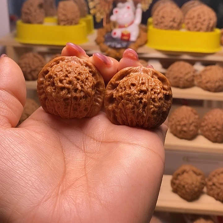 38尺寸的血麒麟核桃