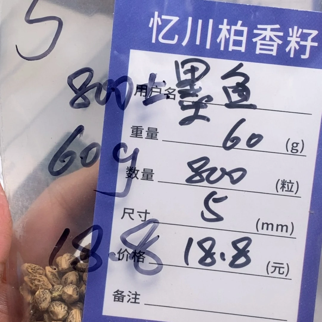 柏香籽/百香籽吊坠墨*.