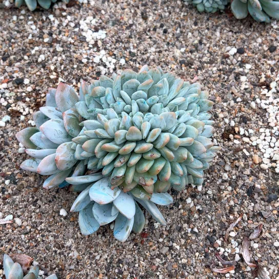 点点关注 点点赞 生活越来越灿烂