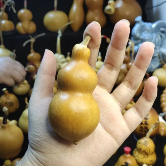 5CM左右胖蚂蚁葫芦，不响籽