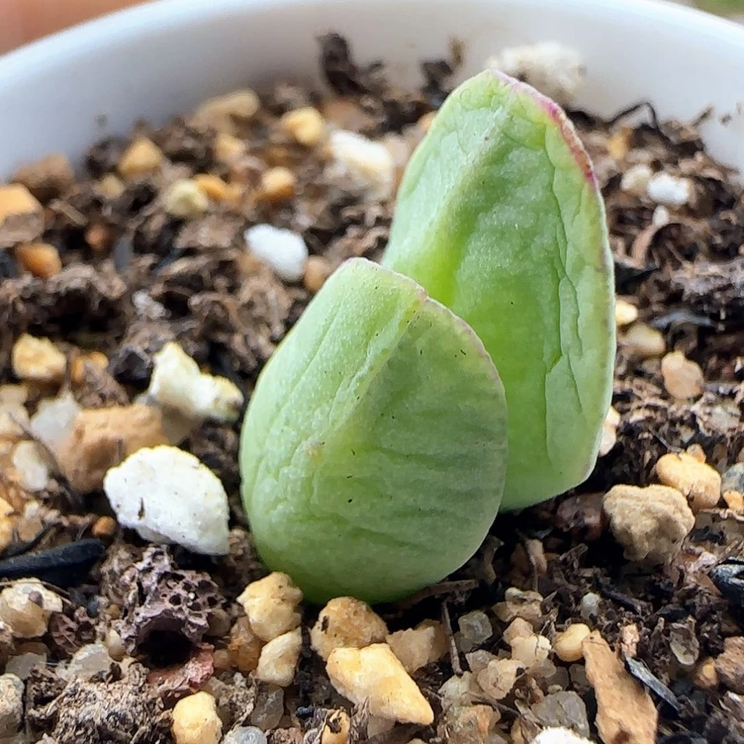 哈哈哈哈哈哈哈哈41607