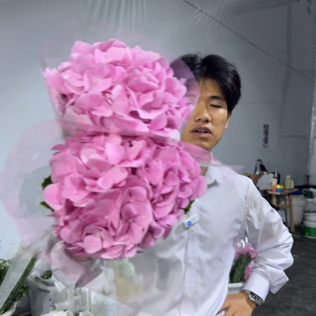 粉色绣球2支包邮价秒杀