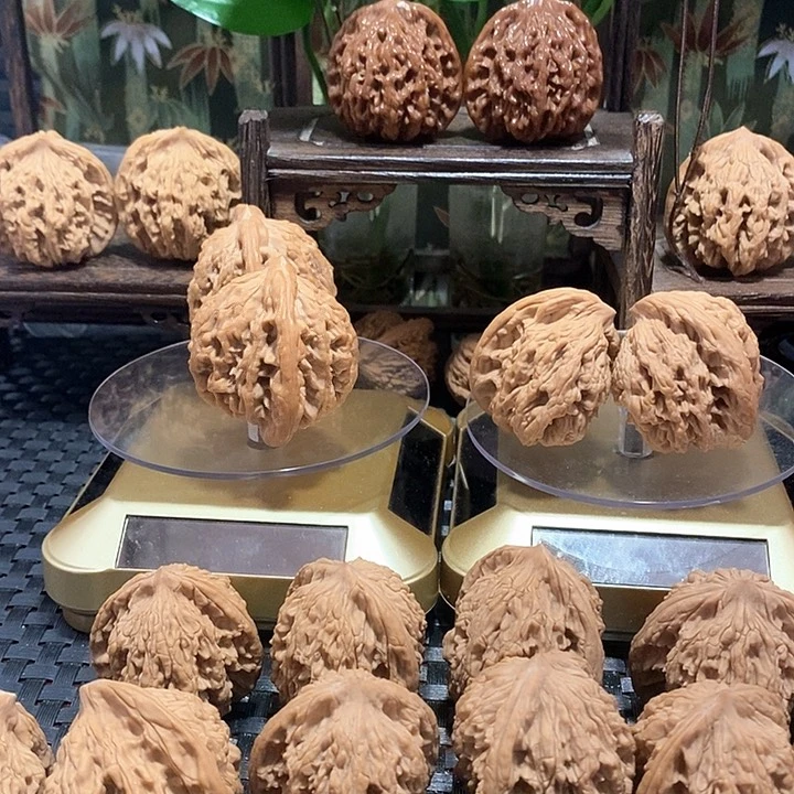 小*哥百年老树堂虎核桃