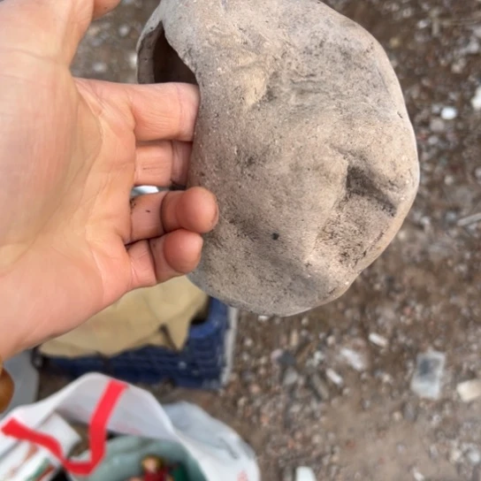 h***z核桃木/黑胡桃（胡桃木）