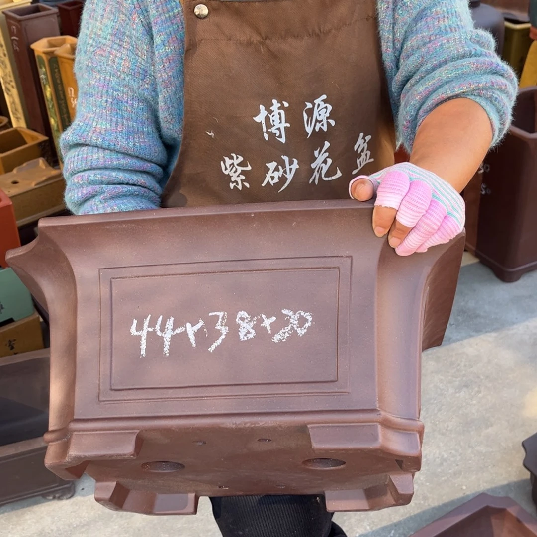 花盆紫砂盆景艺术