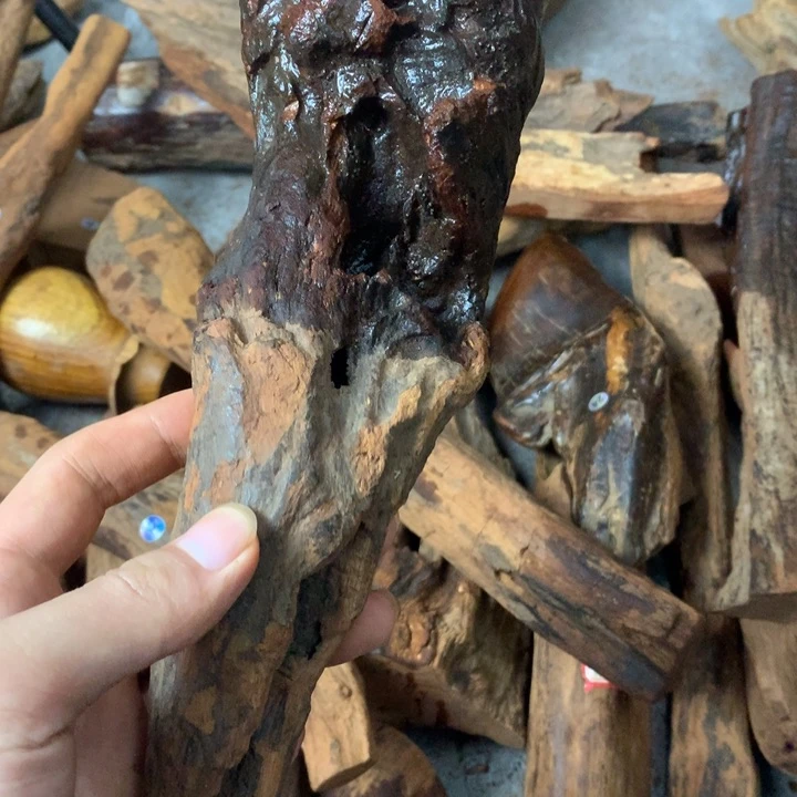 香榧木哥****说海南黄花梨