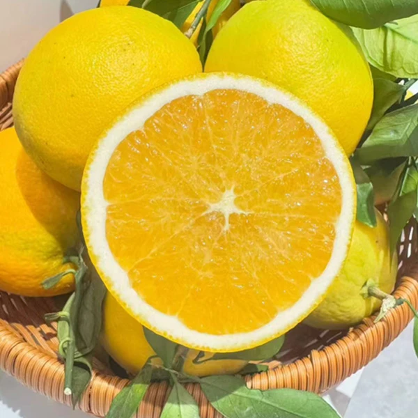 江西赣南脐橙原产地直发鲜嫩多汁新鲜采摘标准果口味好