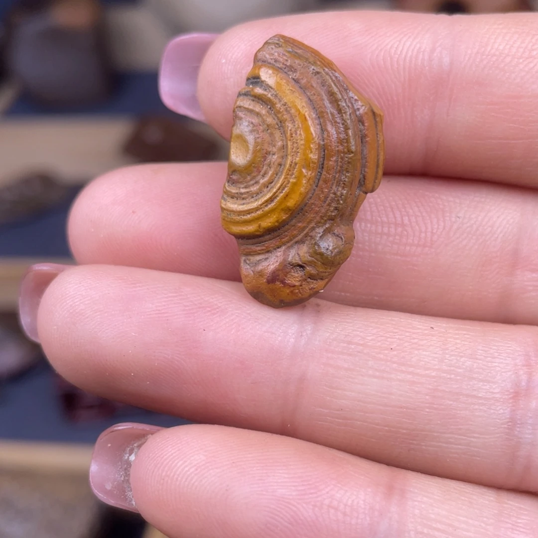 80088888888888588555