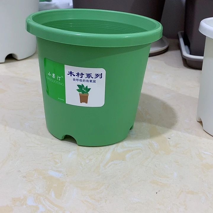 小果汀15口绿10个无托