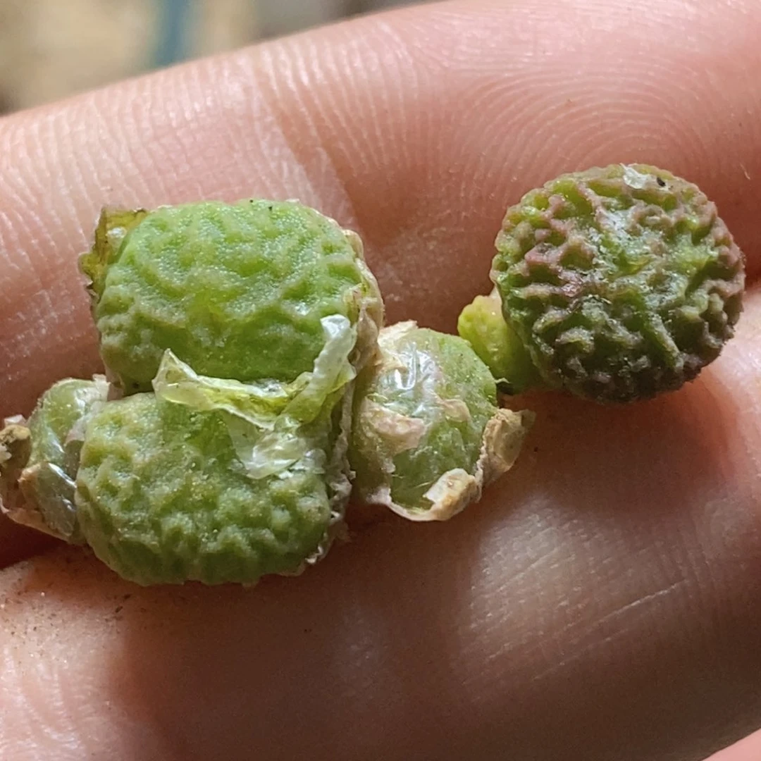 李**球211343好看很久