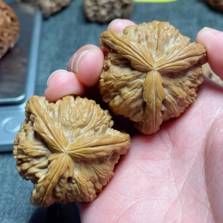 S*N工艺三棱白狮子三棱