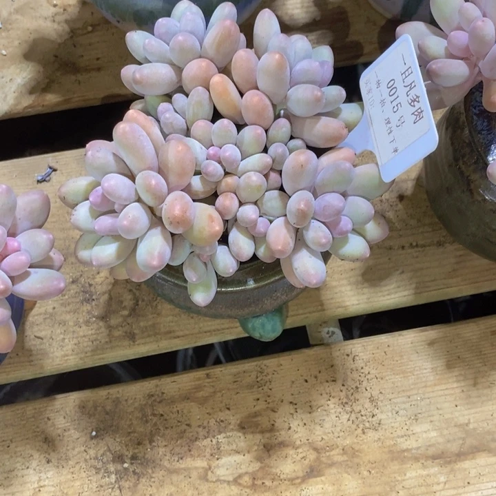 你说是谁在的呀怎么就