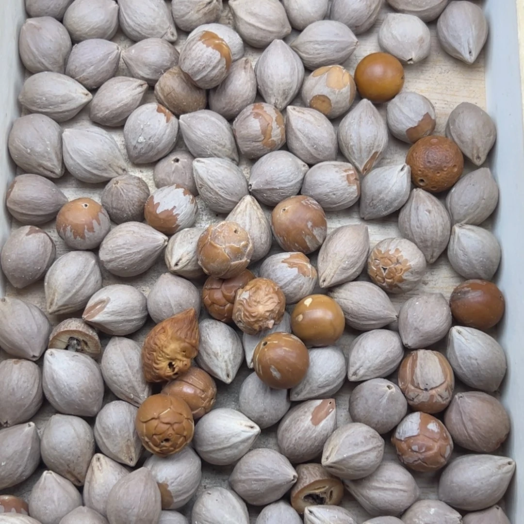 手串/手链橄榄核莲花料子花口问题1.7-2.1+练手半斤