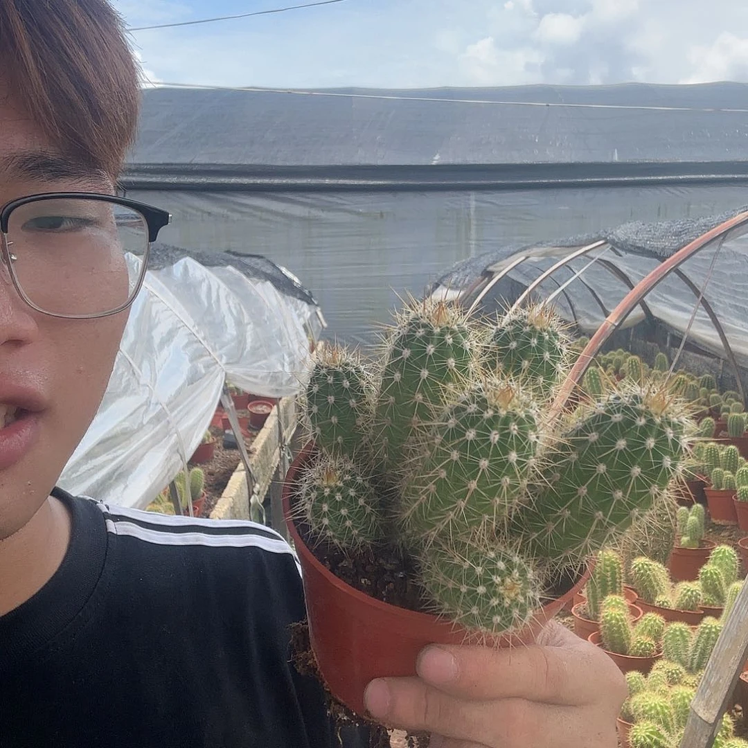 卷***子无花朵蒙娜丽莎哈哈哈哈哈哈哈