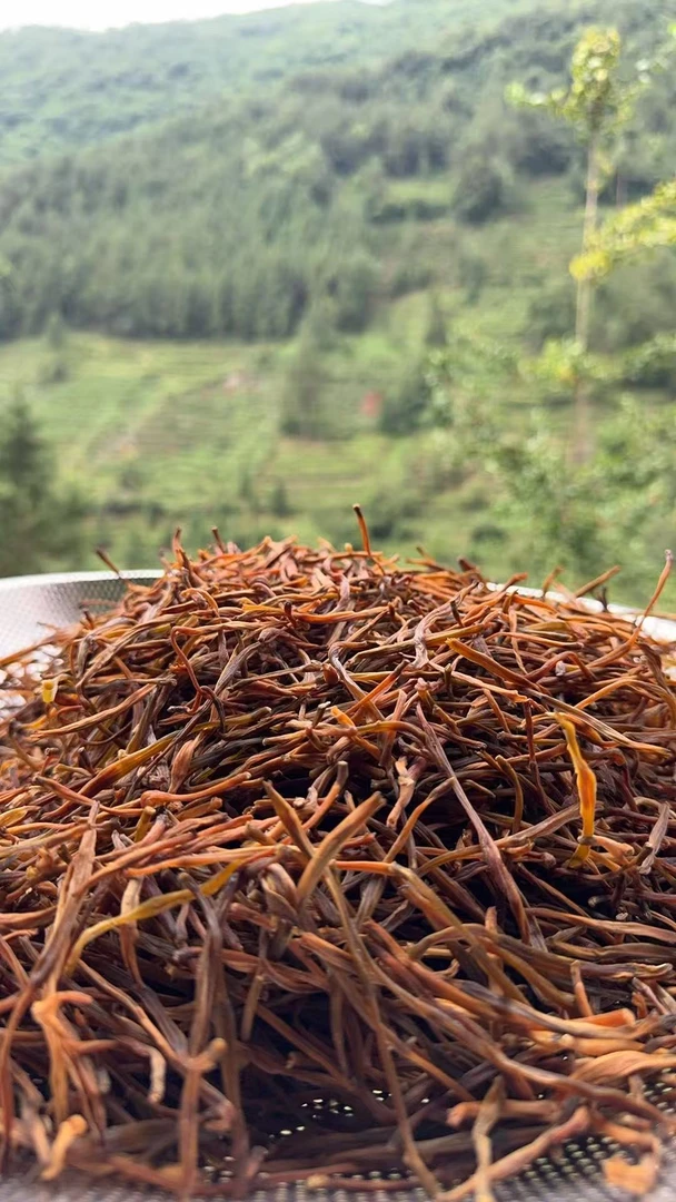 四川高山自然生态黄花