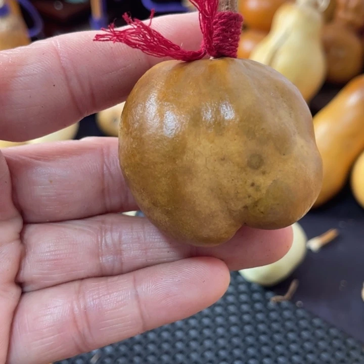 好***鸡葫芦葫哈哈哈哈哈哈哈哈