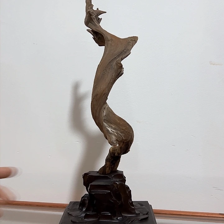 柏木老*我们的生活也是如此的丰富多彩