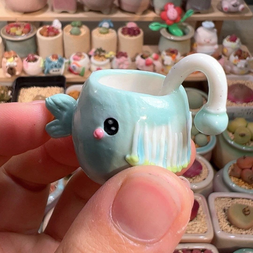 多肉植物10号种满毛翠滴