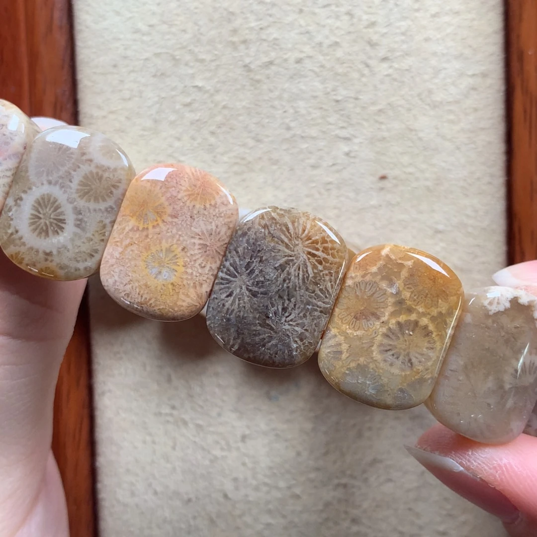 未镶嵌手排漏100/个。13硅化珊瑚（珊瑚玉）