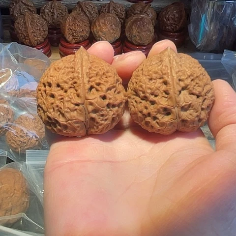 文玩核桃把件王八盖子带彩42+