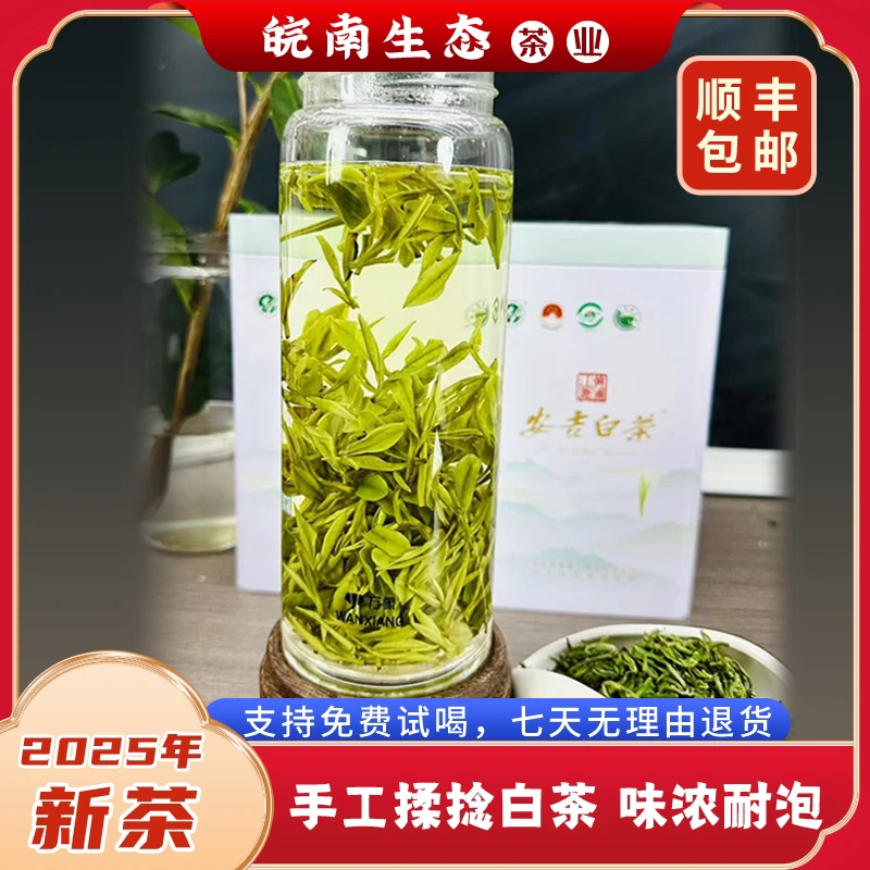 【皖南生态】2025明前安吉昆铜高山纯手工揉捻白茶 特香味浓耐泡