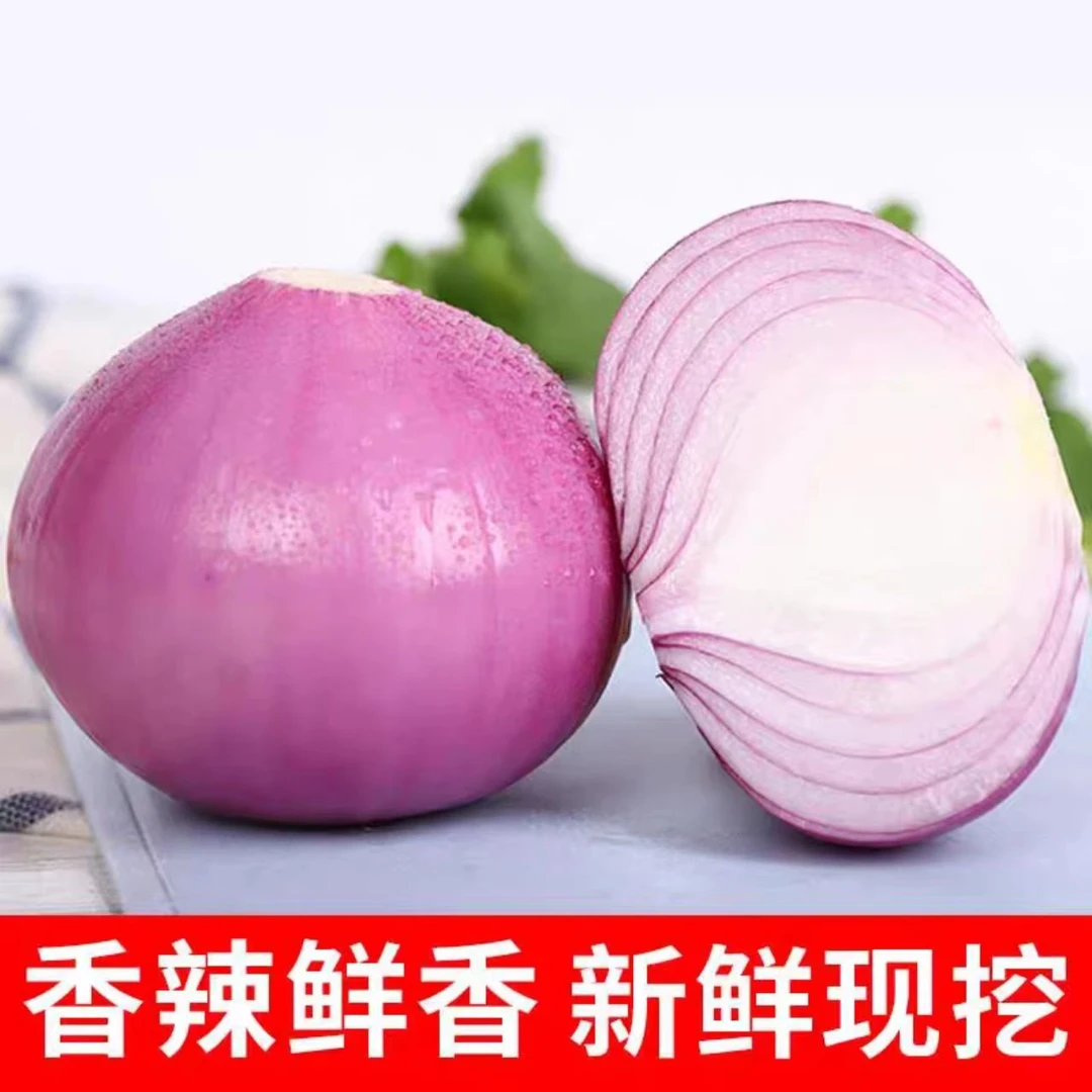 新鲜现挖紫红皮洋葱可炒菜凉拌生吃当季蔬菜